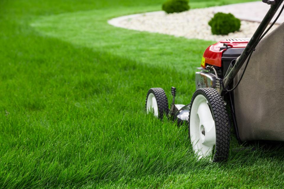 Mow your lawn more frequently for greener grass.