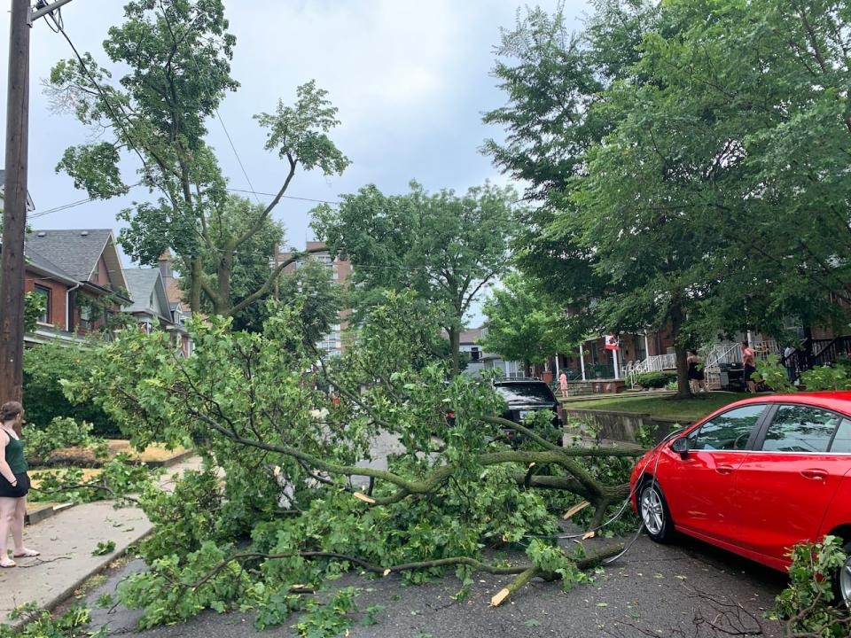 A downed tree and wires block a residential street near Davenport and Old Weston roads after a severe thunderstorm.