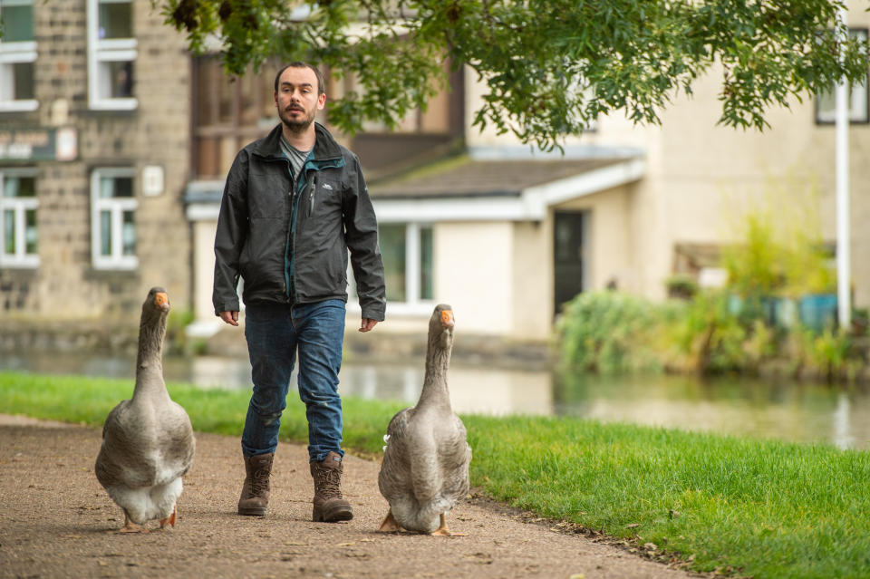 Sven Kirby, 34, takes his pet geese Beep Beep and Norbert (21wks) along the canal to the pub in Leeds, West Yorks., October 05 2020.  See SWNS story SWLEgeese; An animal obsessed singleton has purchased two pet geese - which he puts in nappies and takes to the pub. Eccentric Sven Kirby, 34, has hand reared the birds from five days old after buying them for Â£40 each in June. He is often seen walking the streets, parks and canals of Leeds, West Yorks., with Beep Beep and Norbert waddling along behind. When admin assistant Sven is at home the pair have free reign of the house, while at night time and on weekdays they are confined to a pen in the garden. Incredible pictures and videos show Norbert and Beep Beep walking down the street, sleeping on Sven's chest, wearing their nappies and relaxing at the pub. 