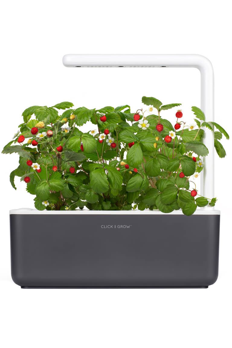 <p>Even in the winter months gardens should still grow. This compact indoor garden will help anyone who’s wishing to grow herbs or vegetables start doing so right when they open it. Giftees of the kit will be pleased to know inside is planter base, which holds a month’s worth of water thanks to its built-in watering component, a LED lamp, and basil starter pods. We’re also keen on it all since NASA helped research the soil mix found inside the kit. The fixture can be thrown in the dishwasher for cleaning.<strong><br><a rel="nofollow noopener" href="https://shop.nordstrom.com/s/click-grow-smart-garden-3-self-watering-indoor-garden/5021535" target="_blank" data-ylk="slk:SHOP IT: Nordstrom, $140 (approx.);elm:context_link;itc:0;sec:content-canvas" class="link ">SHOP IT: Nordstrom, $140 (approx.)</a></strong> </p>