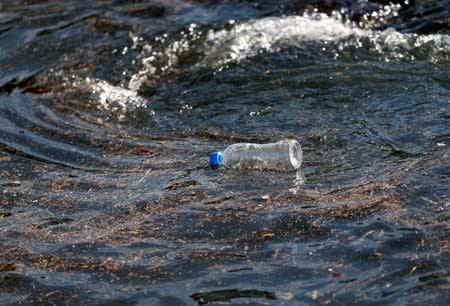 FILE PHOTO: A plastic bottle drifts on the waves of the sea at a fishing port in Isumi