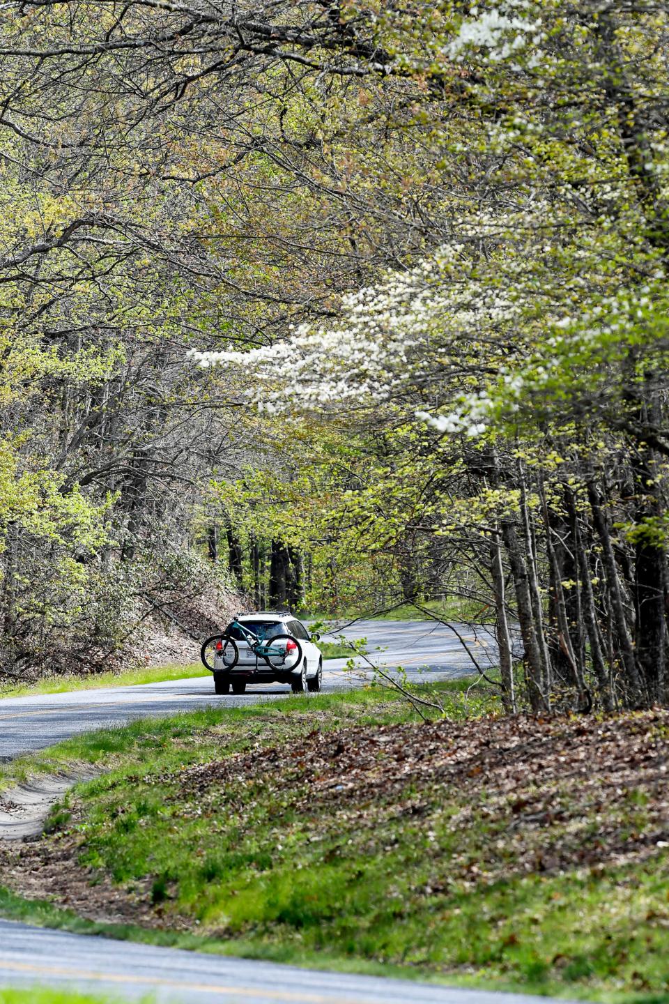 Spring scenes along the Blue Ridge Parkway April 18, 2019.