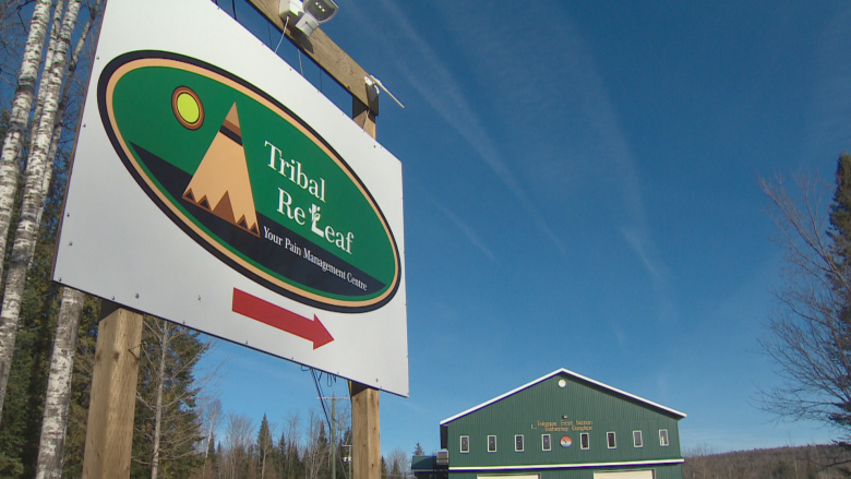 Tribal ReLeaf former employees plead not guilty