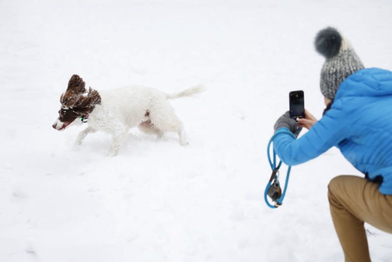 Dogs enjoy the snow in Central Park on Tuesday. Photo by John Angelillo/UPI