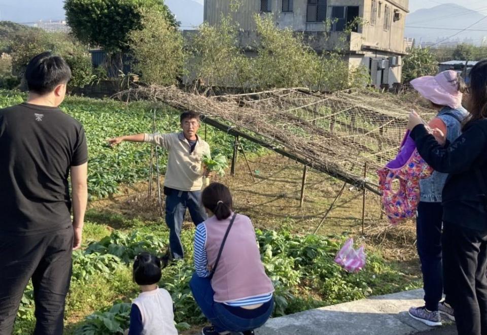 時值白蘿蔔產期，新北市三芝區「蕃婆林休閒農場」推出拔蘿蔔體驗活動，在拔蘿蔔前農友先進行解說。（記者吳瀛洲攝）