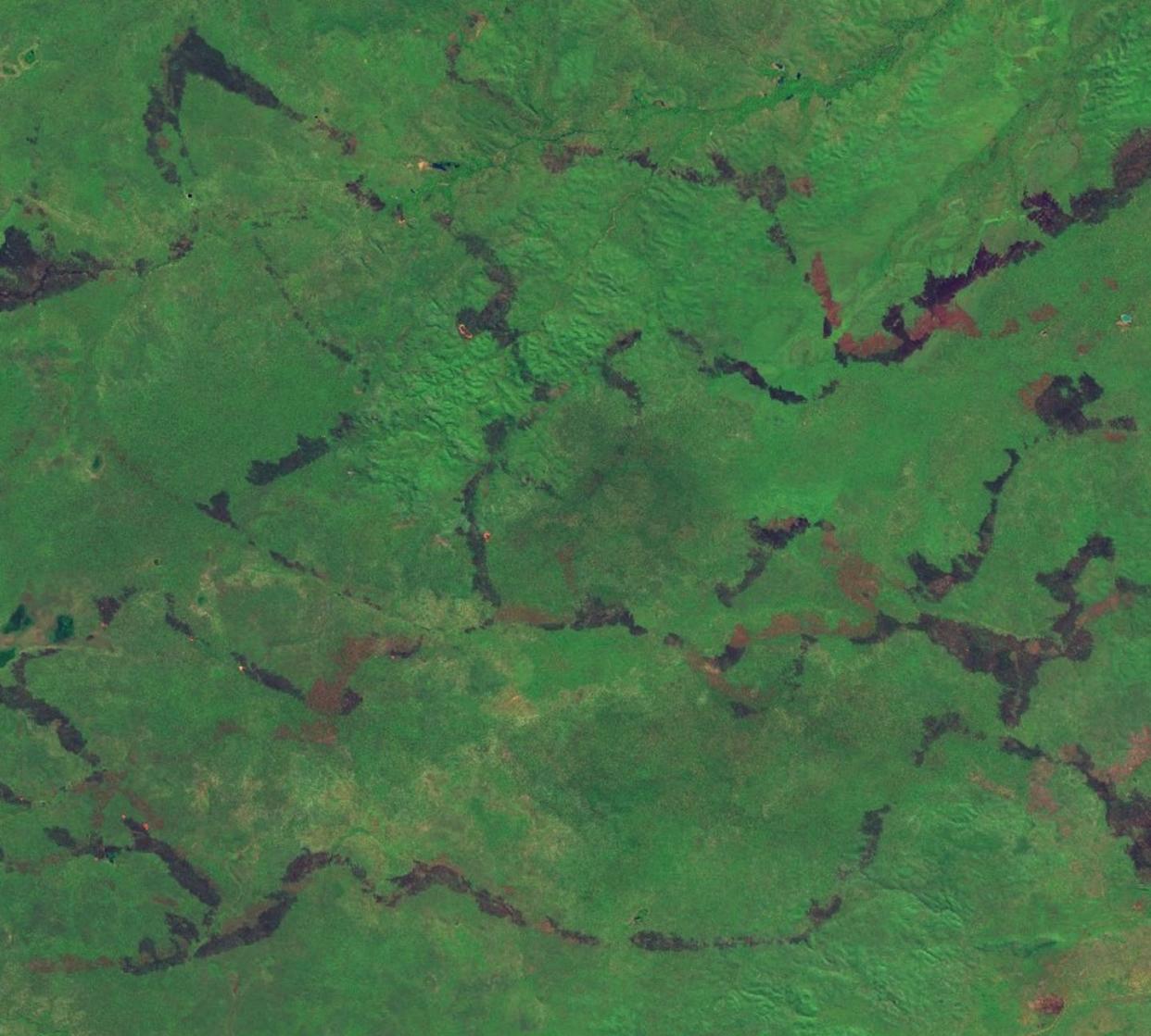 Satellite imagery shows how burnt areas in central Arnhem Land are lines carefully 'painted' across the landscape. <a href="https://apps.sentinel-hub.com/eo-browser/" rel="nofollow noopener" target="_blank" data-ylk="slk:Sentinel Hub EO Browser;elm:context_link;itc:0;sec:content-canvas" class="link ">Sentinel Hub EO Browser</a>, <a href="http://creativecommons.org/licenses/by/4.0/" rel="nofollow noopener" target="_blank" data-ylk="slk:CC BY;elm:context_link;itc:0;sec:content-canvas" class="link ">CC BY</a>