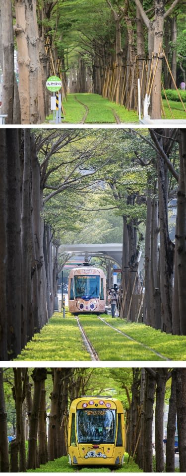 2022首屆蓮池潭鐵人三項賽10/9登場　交管請注意！