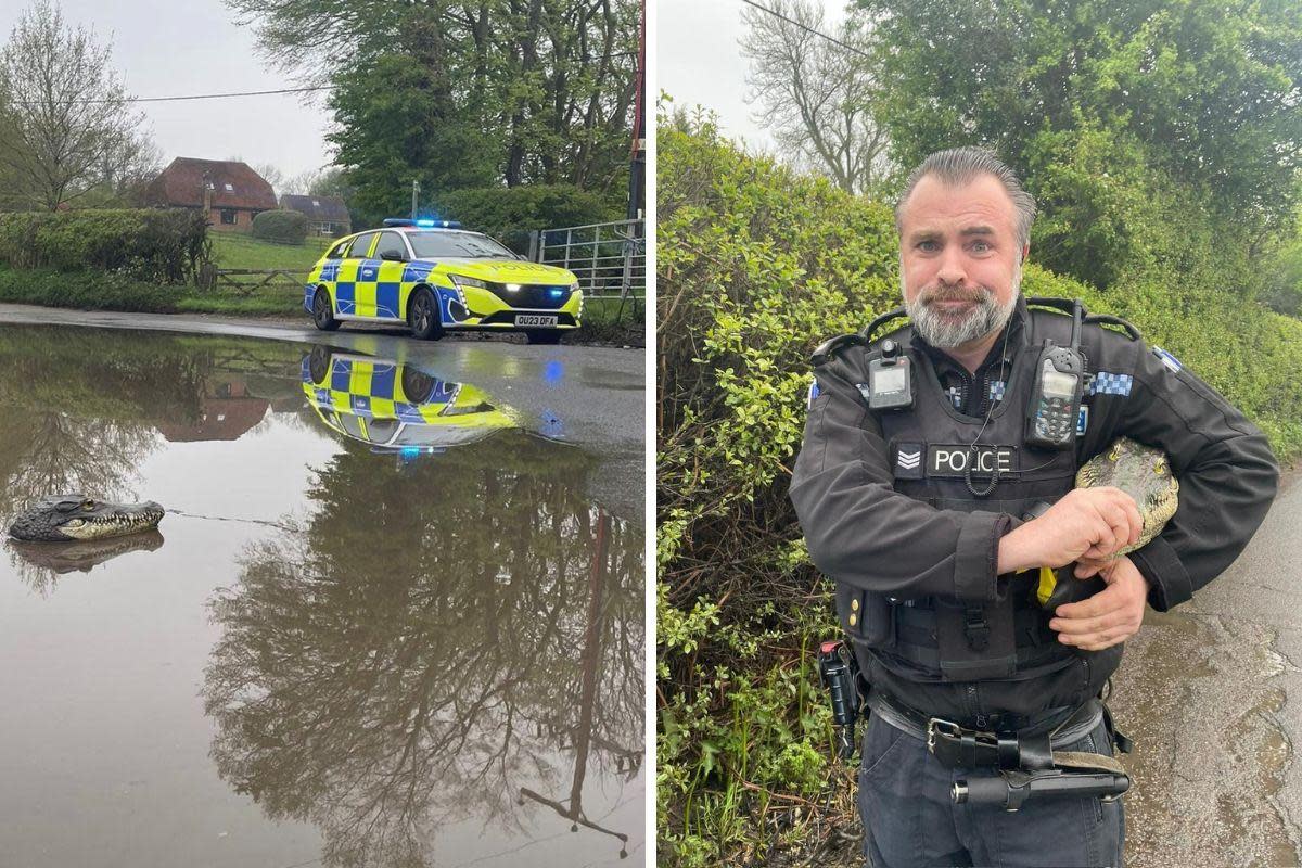Police called to reports of a crocodile <i>(Image: Thames Valley Police)</i>