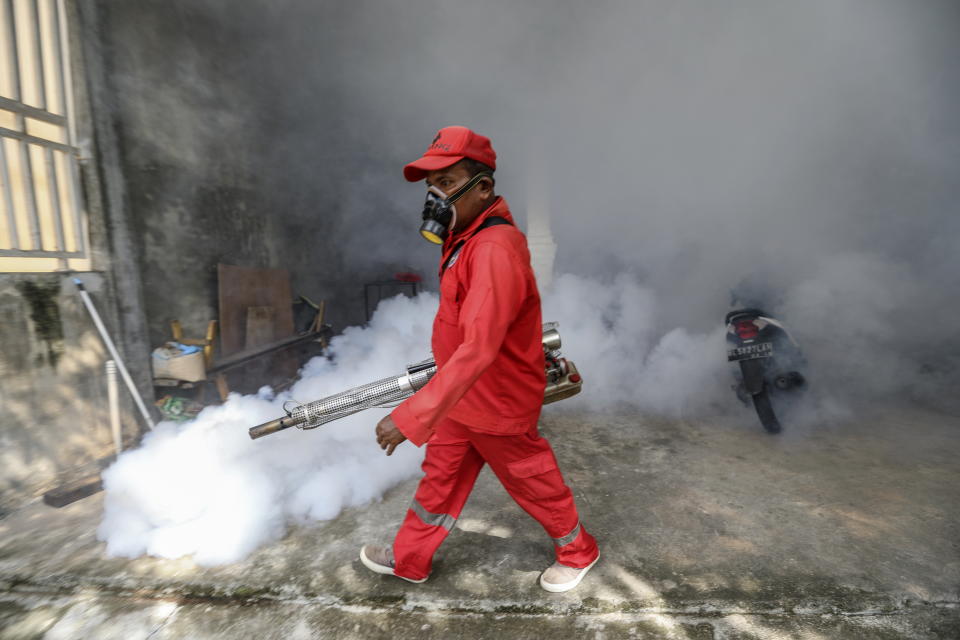A worker fumigates with anti-mosquito fog to control dengue fever at a residential area in Banda Aceh, Indonesia.