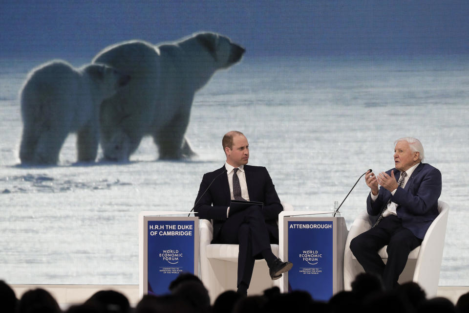 Britain's Prince William, left, listens to Sir David Attenborough, broadcaster and natural historian, during a session at the annual meeting of the World Economic Forum in Davos, Switzerland, Tuesday, Jan. 22, 2019. (AP Photo/Markus Schreiber)