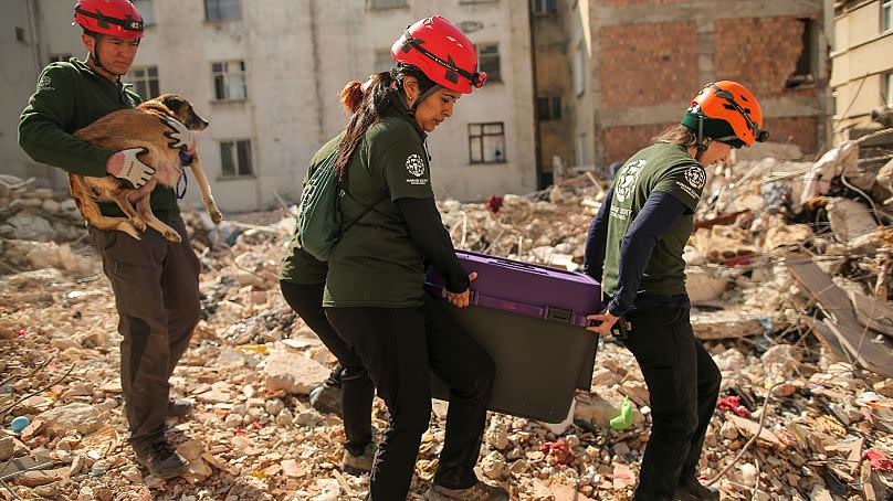 Emrah Gurel/AP Images for HSI