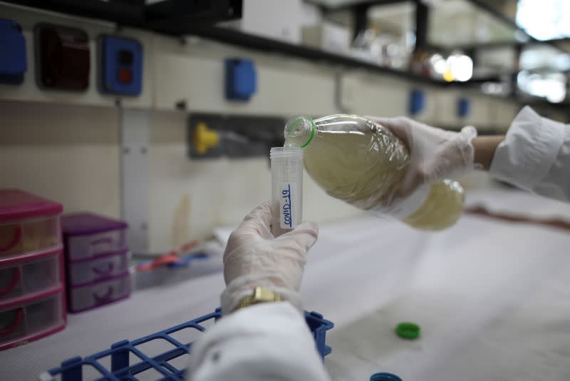 A chemist puts a sewage sample in a testing tube reading "COVID-19" at the chemistry lab of the National and Kapodistrian University of Athens, in Athens