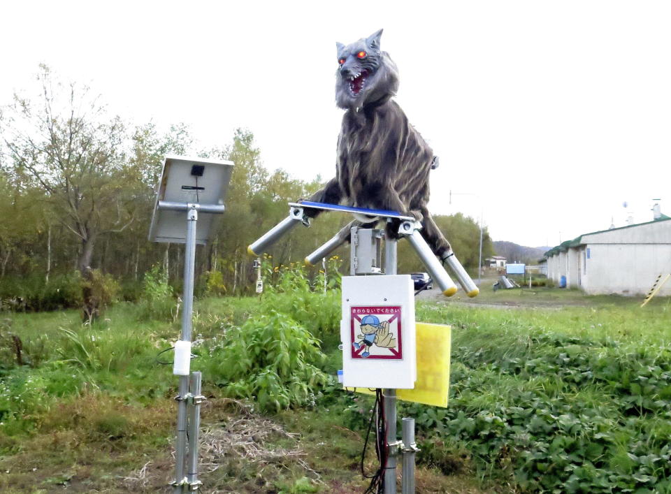 A robot called Monster Wolf, equipped with sensors that can detect bears or vermin, is installed in an effort to scare away bears that have become an increasingly dangerous nuisance in the countryside, in Takikawa on Japan's northernmost main island of Hokkaido.  / Credit: KYODO / REUTERS