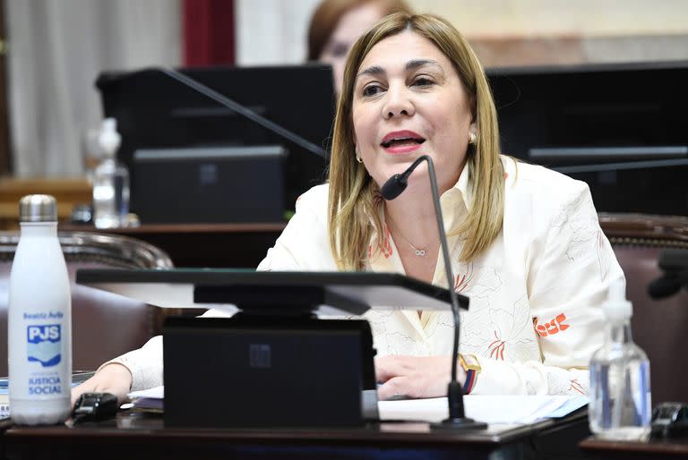 Senadora nacional por Tucumán Beatriz Ávila