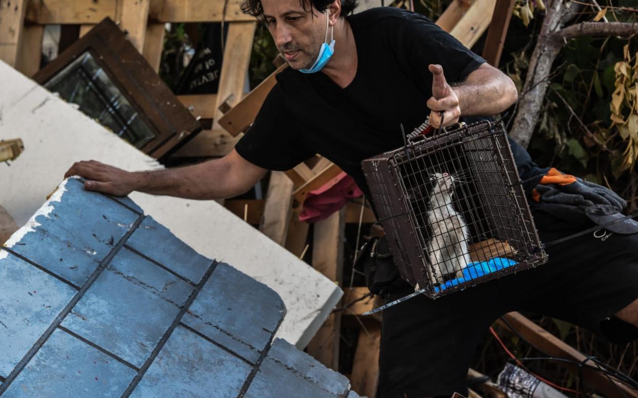 A rescue worker removes a kitten from the wreckage in Beirut - Elizabeth Fitt /Â© EF Images 2020