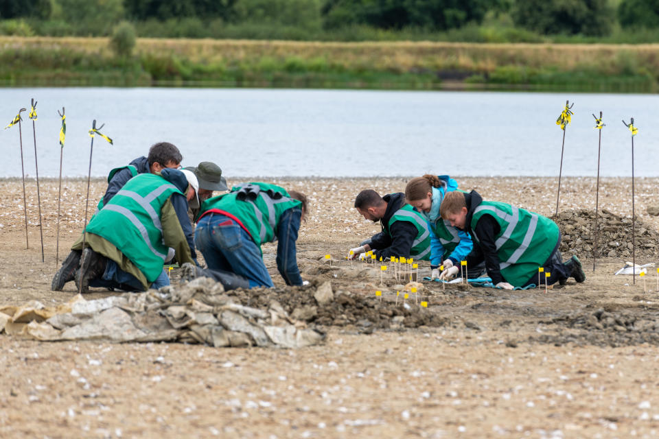 A team worked last August and September to excavate the fossil of the largest and most complete ichthyosaur ever found in Britain. 
 (Matthew Power / Anglian Water)