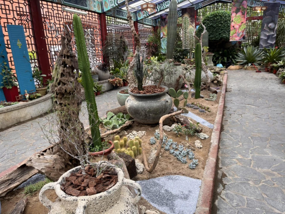 大型的多肉植物與柱型仙人掌營造出沙漠景緻（圖／北市公園處提供）