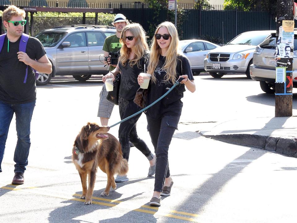 ©2010 RAMEY PHOTO Los Angeles, October 7th 2010 AMANDA SEYFRIED OUT IN LA WITH HER DOG. GV (Photo by Philip Ramey/Corbis via Getty Images)