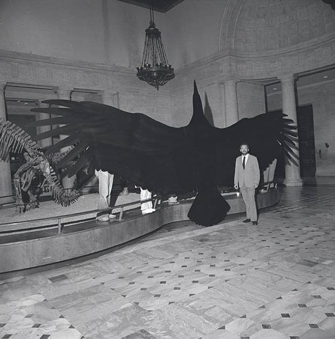 A man standing in front of a giant bird