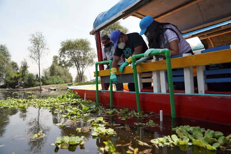 Mexican scientists deploy nanotechnology to clean up Xochimilco canals