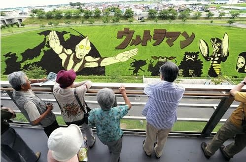 【驚奇景點】不是麥田怪圈？日本稻田畫作超吸睛