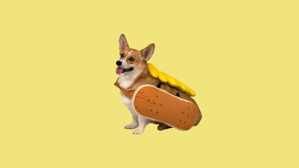 Popular Dog Costumes: Tractor Supply Hot Dog Costume