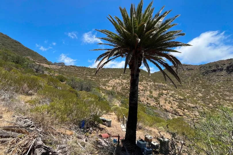 Parque Rural de Teno area,  near Masca, Tenerife.