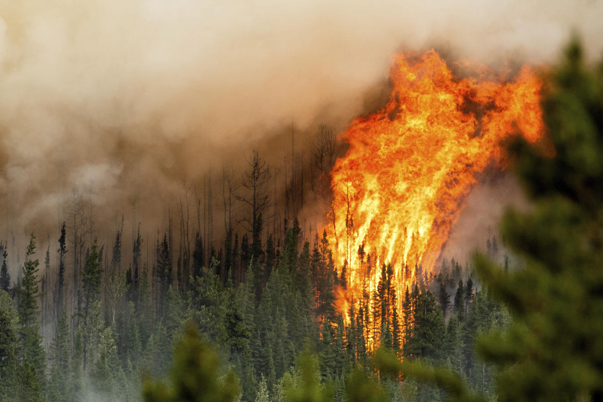 Flames from the Donnie Creek wildfire 