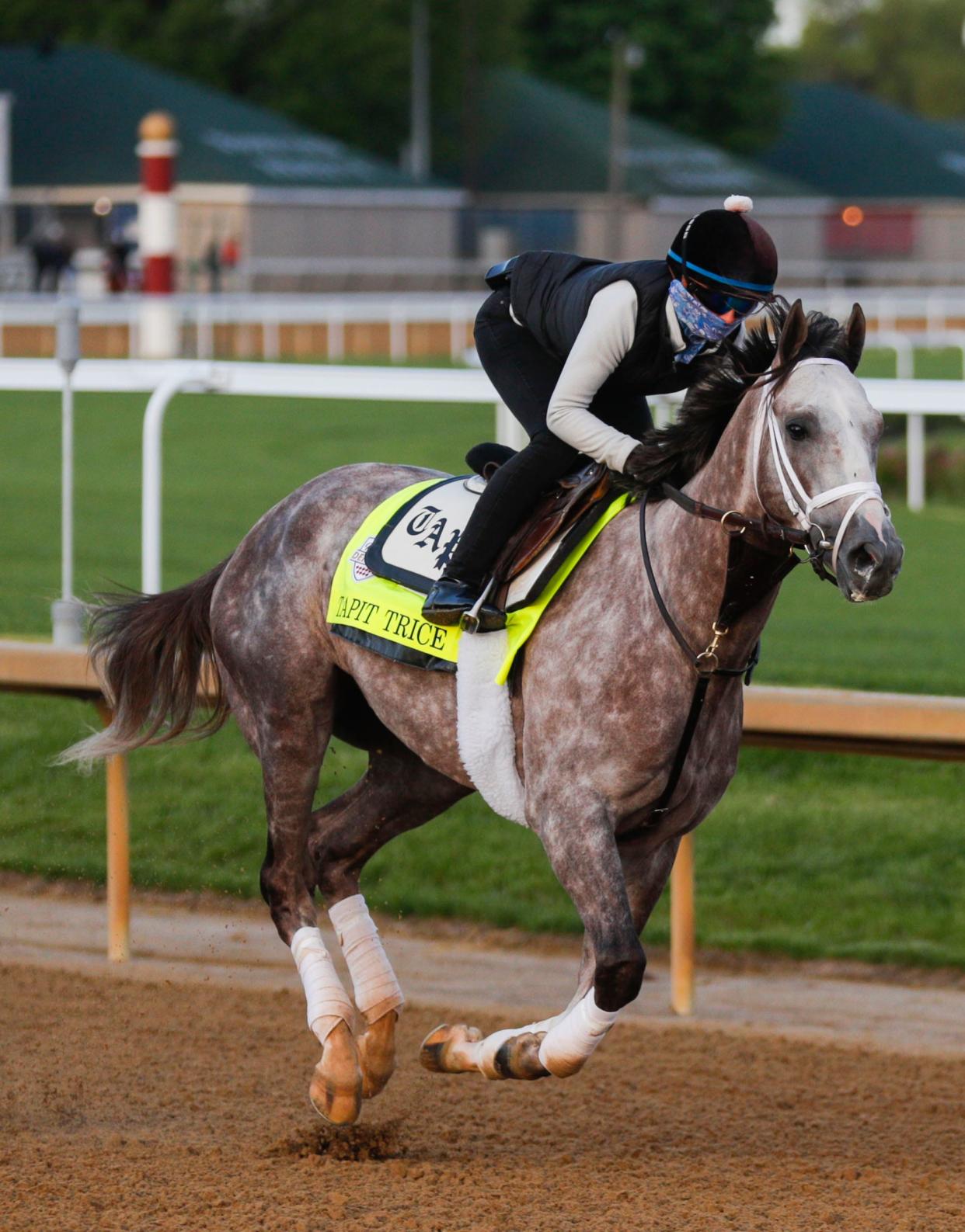 Kentucky Derby horse Tapit Trice on the track on Sunday. April 23 2023 at Churchill Downs. Tapit Trice, trained by Todd Pletcher, won the Toyota Blue Grass Stakes in April and the Lambholm South Tampa Bay Derby in March.