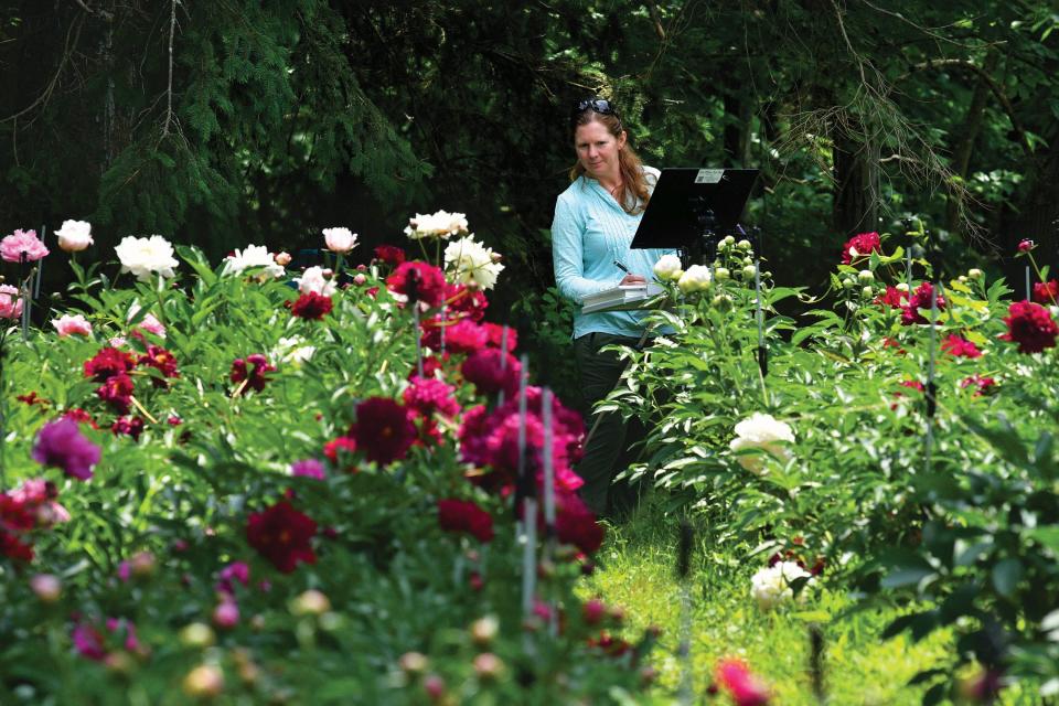 Erika Mond of Bolton takes a look around while painting peonies at Nicewicz Farm with a group from Central Massachusetts Plein Air Painters.