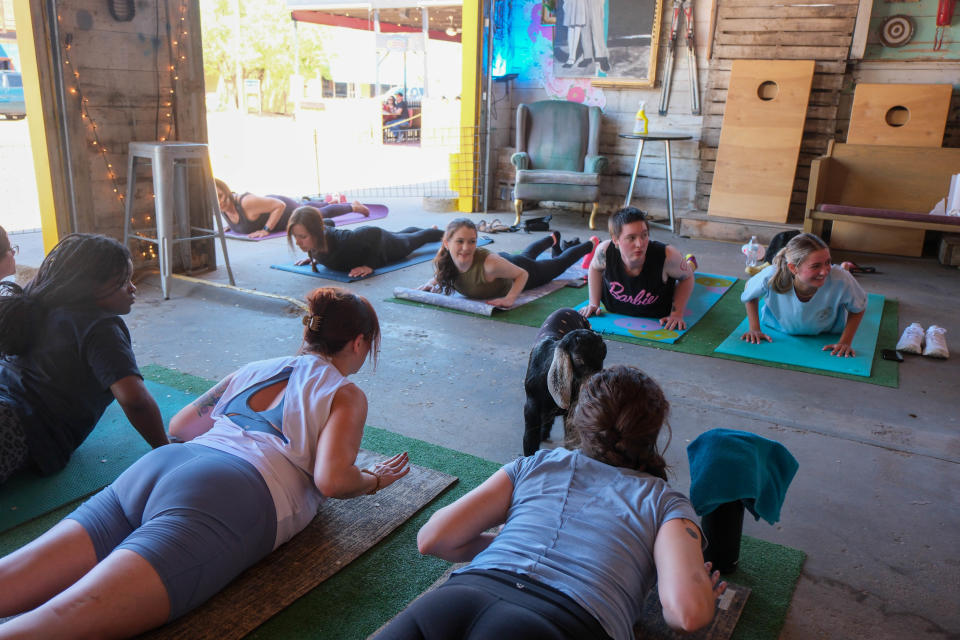 Participants look on as a goat approaches during goat yoga last weekend at The Garage event venue on the Historic Route 66 in Amarillo.