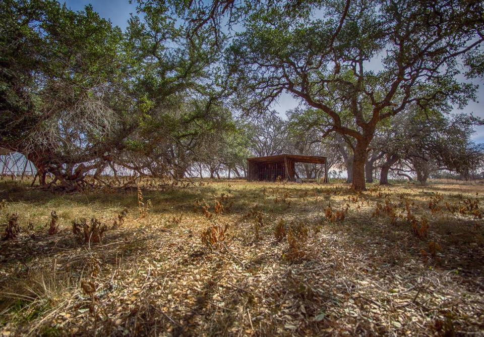 spooky urban legends   woodland shack