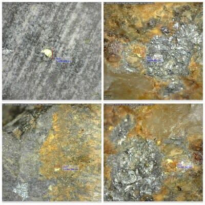 Figure 4: Examples of visible gold in drill hole DDRCCC-23-046 (CNW Group/Sitka Gold Corp.)