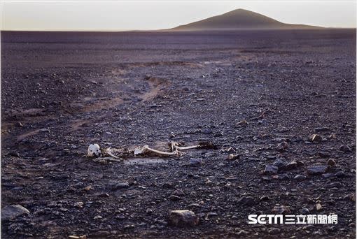 Cerro Indio Muerto《印地安死寂之丘》，Pierre Huyghe。（圖／台北當代藝術館提供）