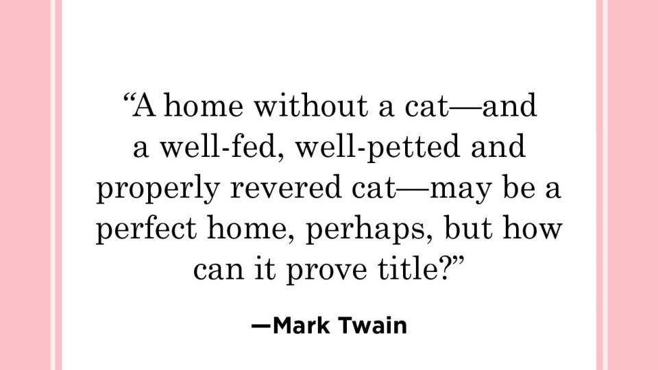 cat quote by mark twain