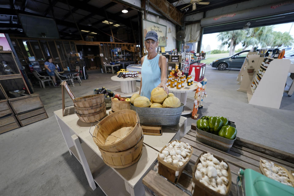 Kim Dillon, manager at Ben & Ben Becnel, Inc. points out produce they grow and sell in their roadside market in Plaquemines Parish, La., Thursday, Sept. 28, 2023. Citrus farmers in the southeast corner of Louisiana are scrambling to protect and save their crops from salt water, which for months has polluted the fresh water they use for irrigation. A mass flow of salt water from the Gulf of Mexico continues to creep up the Mississippi river and threaten Louisiana communities water used for drinking, cooking and agriculture. (AP Photo/Gerald Herbert)