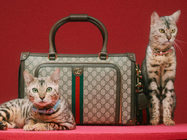 Gucci pet collection includes $7,500 dog bed, $460 poop bag holder