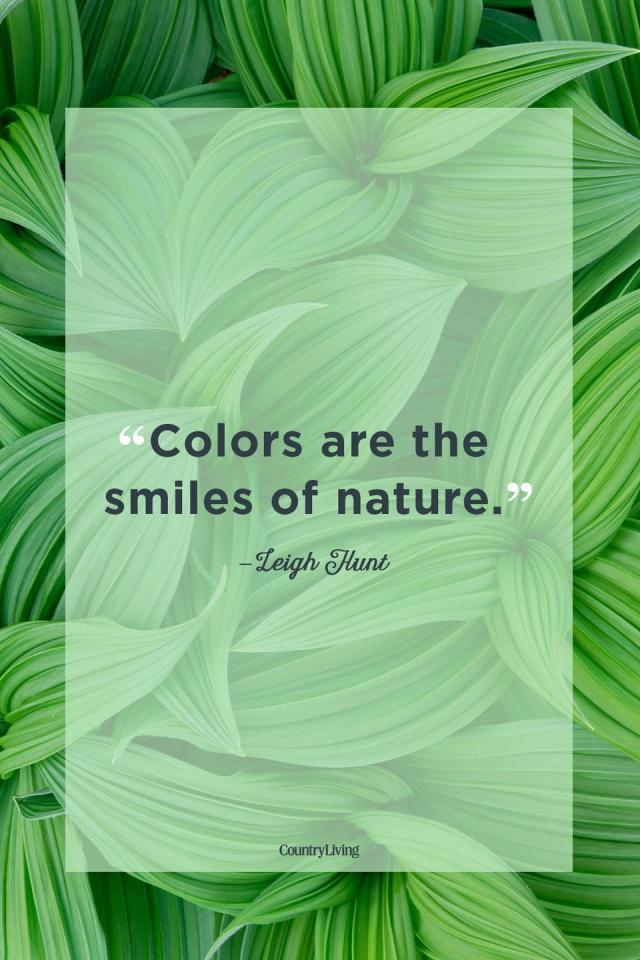 quotes about nature green