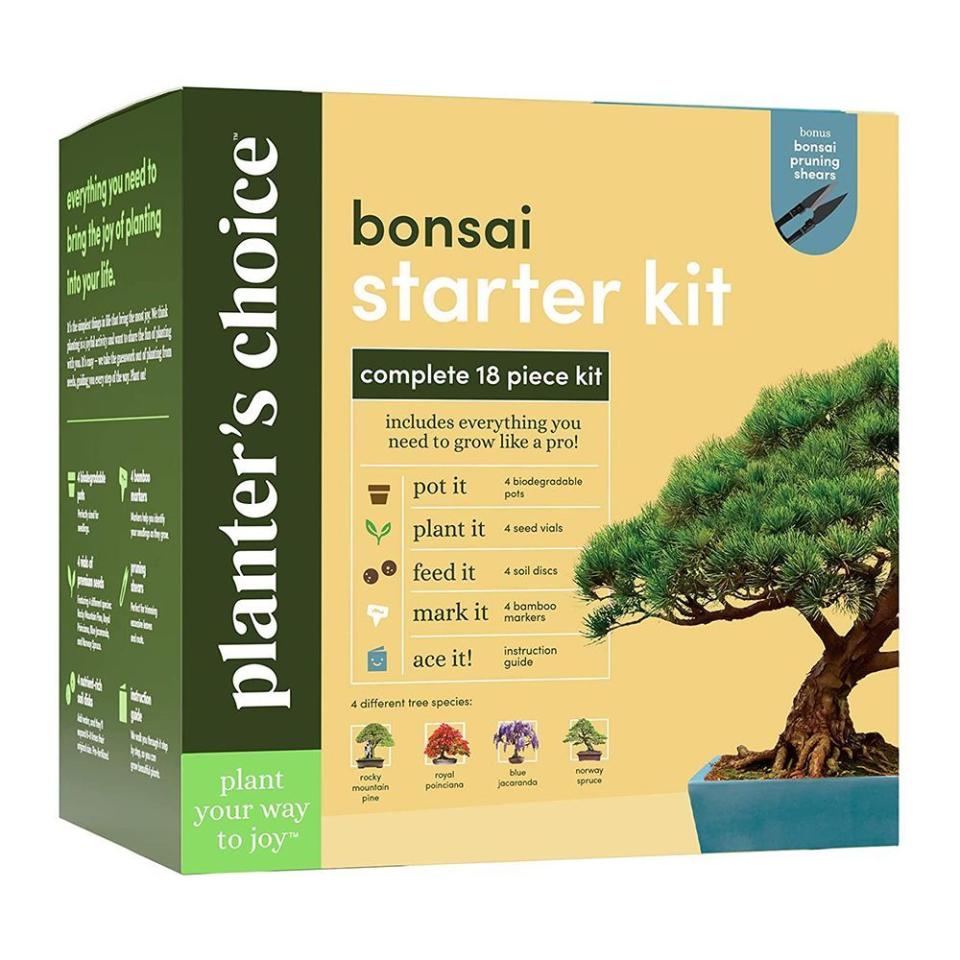 14) Planter's Choice Bonsai Starter Kit