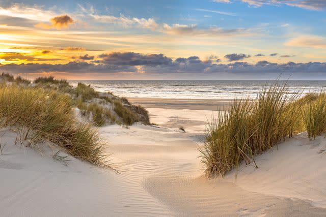 <p>CreativeNature_nl/Getty Images</p> The island of Ameland, in the Netherlands.