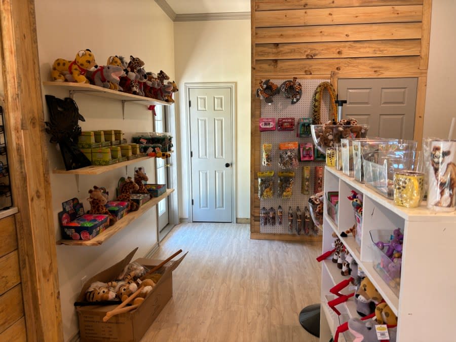 A look inside the gift shop at Giraffe Inn and Safari