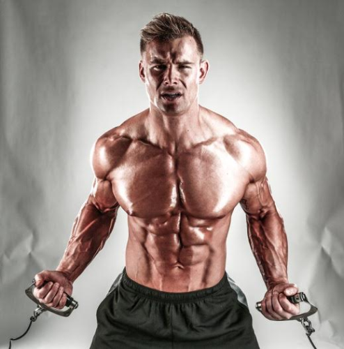 Pick up blade hoppe igen An Irishman has been named the Male Fitness Model World Champion