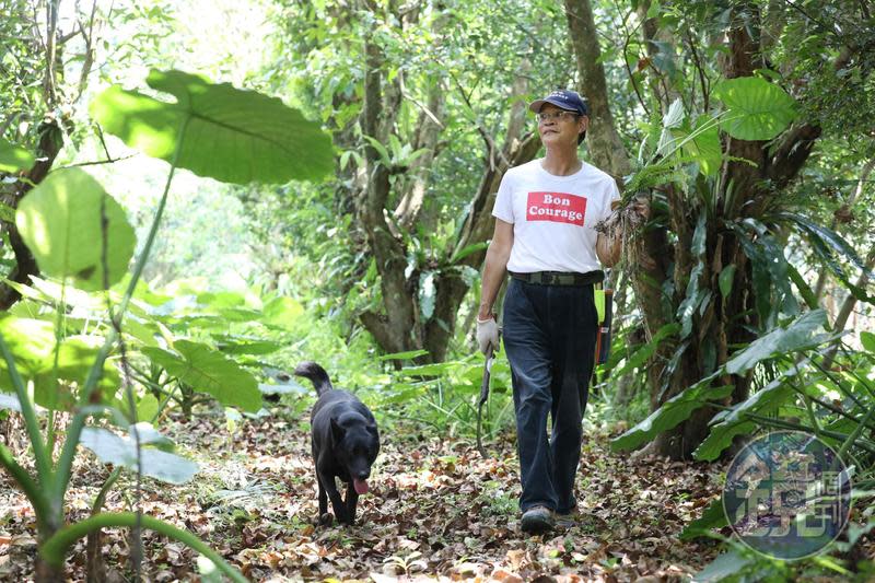 陳清枝熱衷辦學，除早年創設「宜蘭森林小學」及「宜蘭人文國中小」，最近又開辦「野菜學校」。圖為他與愛犬麻糬在野菜學校的探索區採集野菜。