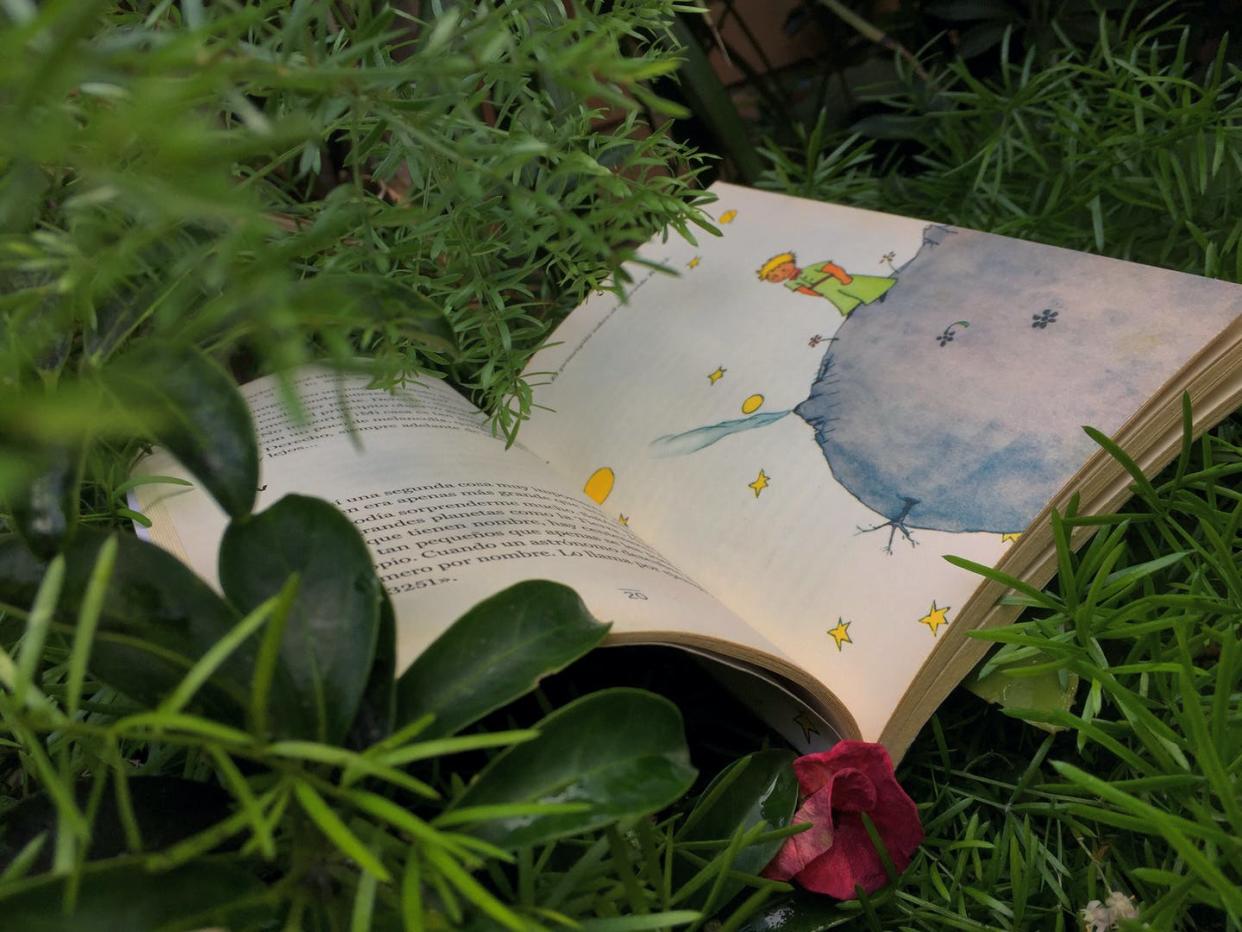 Traduit en cinq cent cinq langues et dialectes différents, _Le Petit Prince_ est l'ouvrage le plus traduit au monde après la Bible et le Coran. <a href="https://www.shutterstock.com/fr/image-photo/august-23-2019-open-book-by-1486228700" rel="nofollow noopener" target="_blank" data-ylk="slk:Emilita /Shutterstock;elm:context_link;itc:0;sec:content-canvas" class="link ">Emilita /Shutterstock</a>