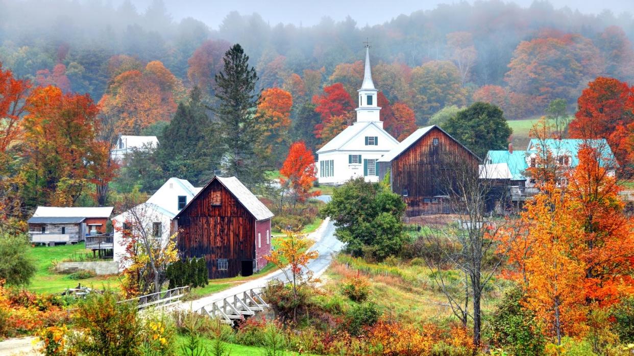 Misty Autumn Foliage in Rural Vermont