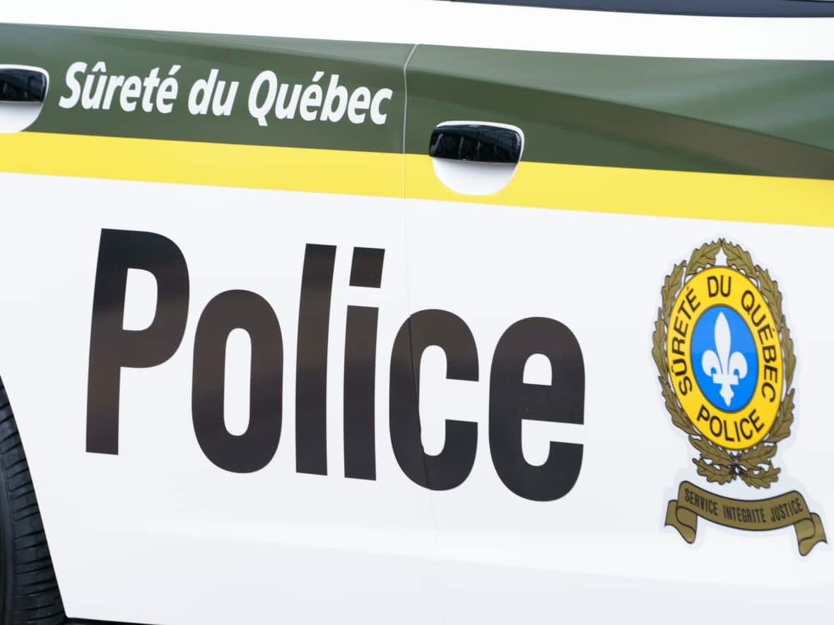 Le Service de police de la Ville de Québec (SPVQ) found the two boys in the Montreal area. (Paul Chiasson/The Canadian Press - image credit)