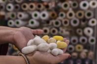 Now the town's silk producers hope the current fashion for silk will help revive its fortunes