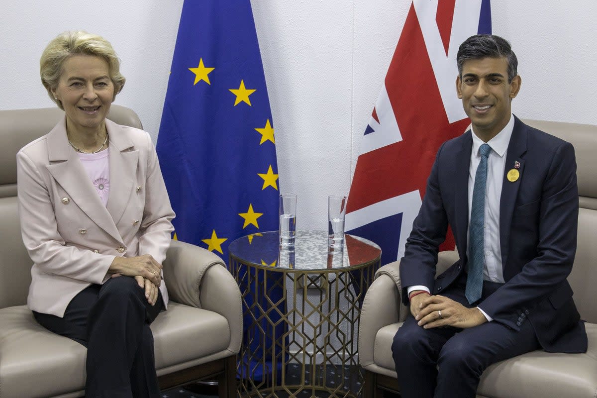 Rishi Sunak and Ursula von der Leyen in November (PA Wire)