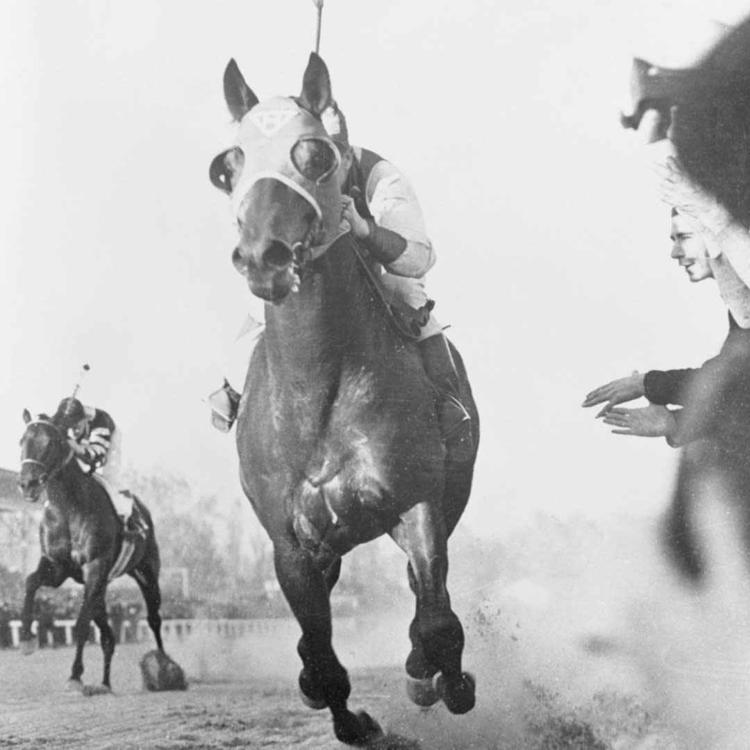 https://www.gettyimages.co.uk/detail/news-photo/cut-in-front-to-stay-pimlico-maryland-pounding-past-the-news-photo/515207606