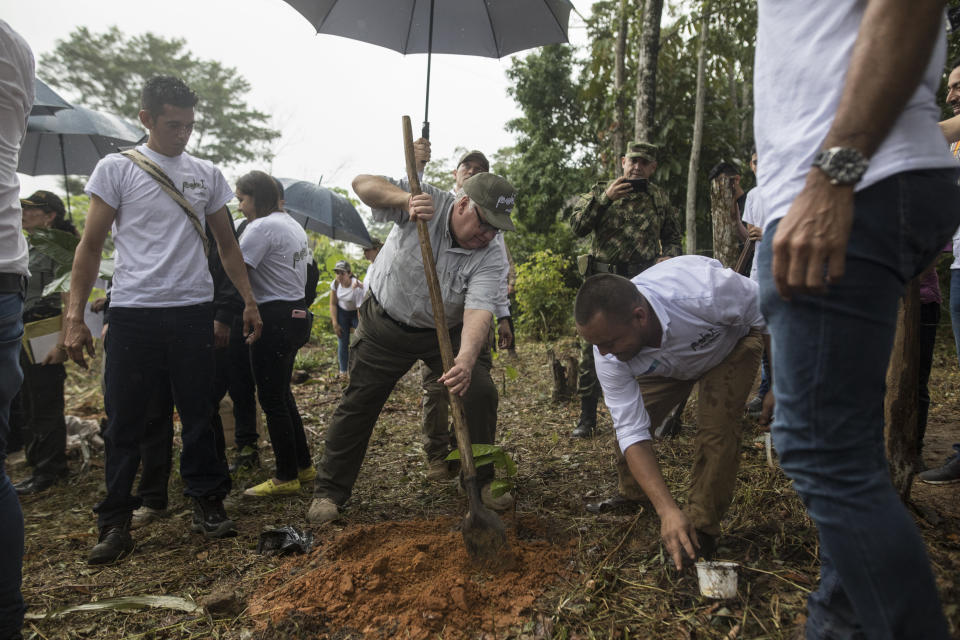 An assistant holds an umbrella over Howard Buffett as he plants a cocoa plant at a farm in La Gabarra, Colombia, Jan. 29, 2020. The eldest son of billionaire investor Warren Buffett has crisscrossed the world giving away part of his father's fortune to promote food security, conflict mitigation and public safety. His latest gamble is one of the most daunting yet: helping Colombia kick its cocaine curse. (AP Photo/Ivan Valencia)